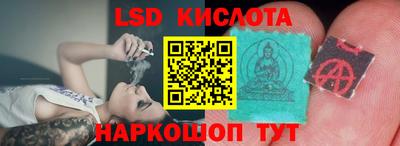 прущие грибы Кулебаки