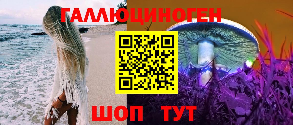 Псилоцибиновые грибы GOLDEN TEACHER  где найти наркотики  Фролово  Галлюциногенные грибы Psilocybine cubensis  Вход с VPN 