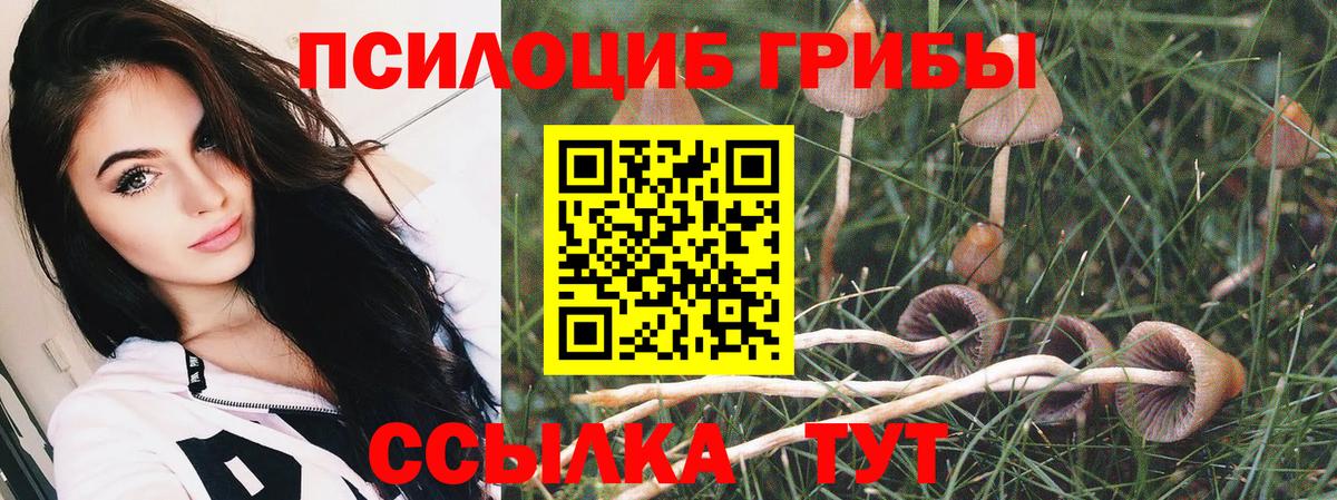 Галлюциногенные грибы MAGIC MUSHROOMS Фролово
